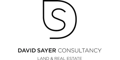David Sayer Consultancy logo